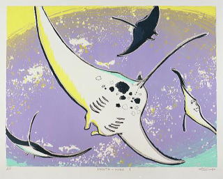MANTA-road-1-2001041