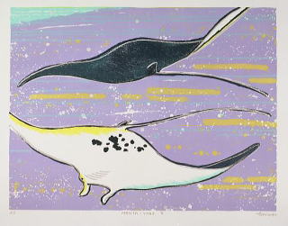MANTA-road-2-2001051