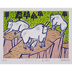 No.202314　　Mauntain goats