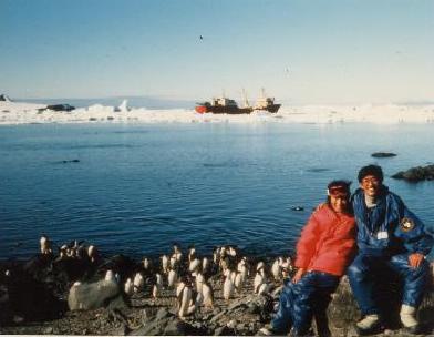 １９８９年年賀南極